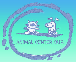 Clinica Veterinaria Animal Center Sur El Medano