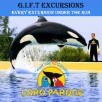 Gift Excursions