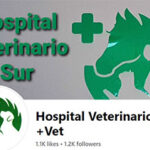 Hospivet Sur Clinica Veterinaria