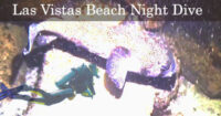 Las Vistas Beach Dive Site