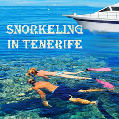 Tenerife Snorkelling